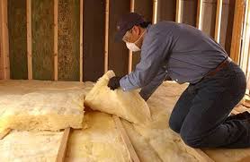 Best Blown-In Insulation  in Newhall, IA