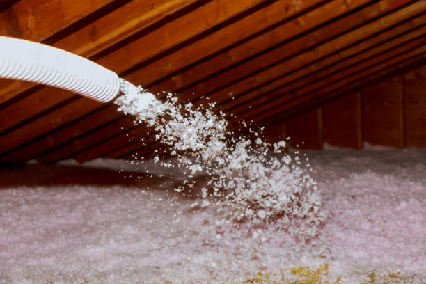 Best Commercial Insulation Services  in Newhall, IA