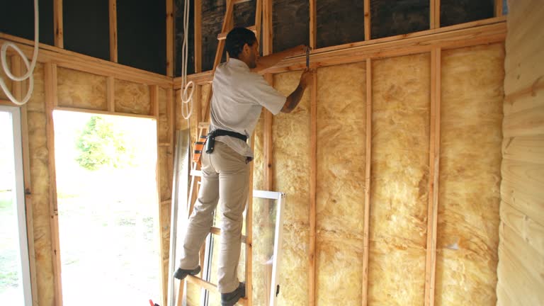 Best Garage Insulation  in Newhall, IA